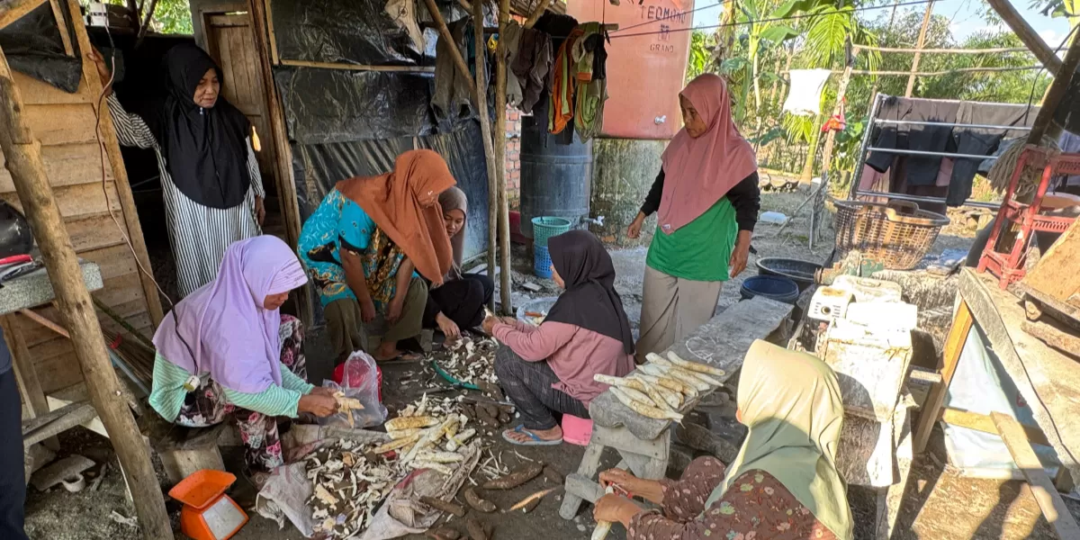Ibu-ibu yang tergabung dalam KWT Embun Pagi binaan Jambi Merang sedang mengolah singkong yang panennya melimpah di desa. Singkong diolah menjadi tepung mocaf yang nilai ekonominya lebih tinggi. (Dok. PHE Jambi)