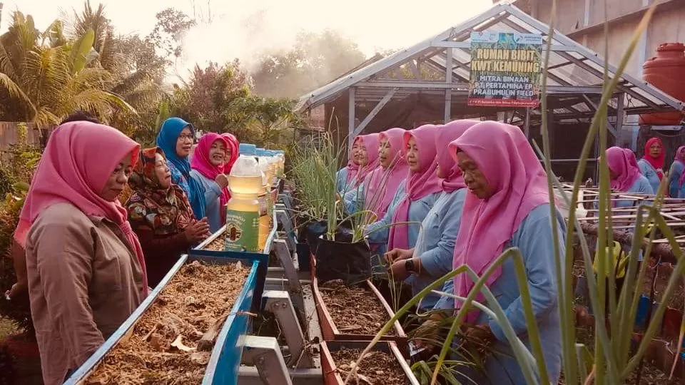 Program Pertamina membantu KWT Kemuning Prabumulih mengolah pekarangan, menekan biaya dapur, hingga menghasilkan omzet Rp1 juta per bulan. (Dok. PHR)