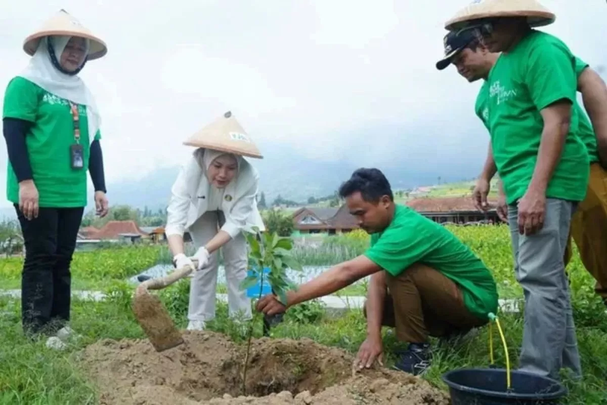 Momentum Hari Hutan Sedunia, PNM perkuat aksi pelestarian dengan target puluhan ribu pohon dan libatkan masyarakat. (Dok. PNM)