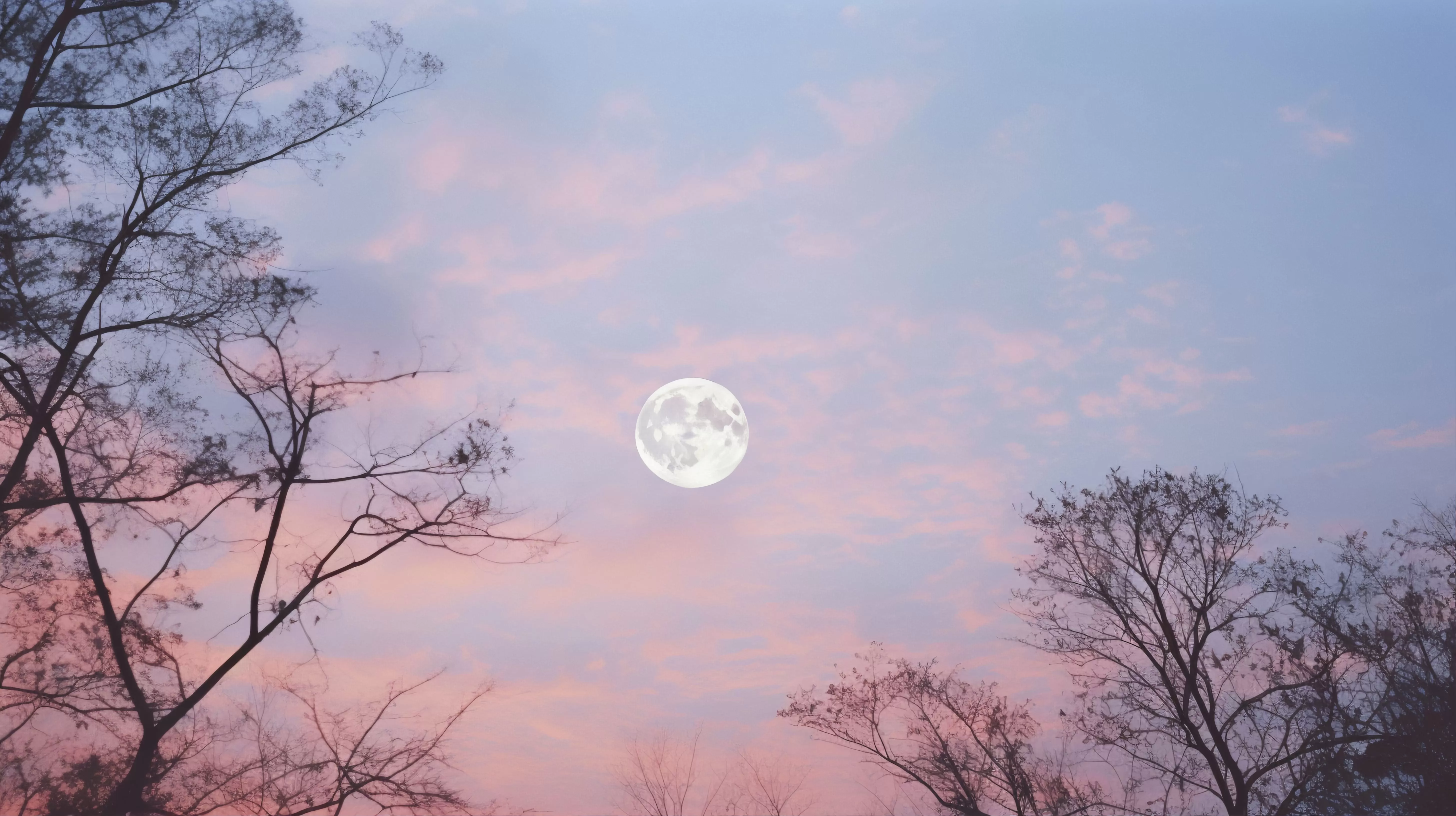 Ilustrasi - Cari spot terbaik, angkat kamera, dan nikmati momen Pink Moon yang cuma datang setahun sekali!