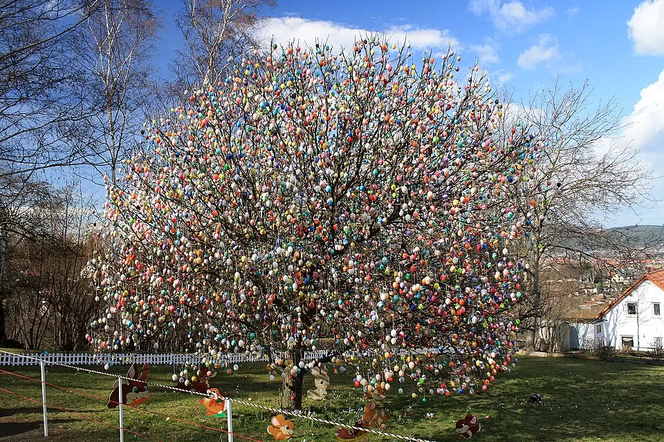 Tradisi menghias telur Paskah di Jerman dinamakan Der Osterbaum. Telur paskah digantung pada ranting pohon-pohon yang menghiasi rumah.   (Wikipedia/AndrewPoison)