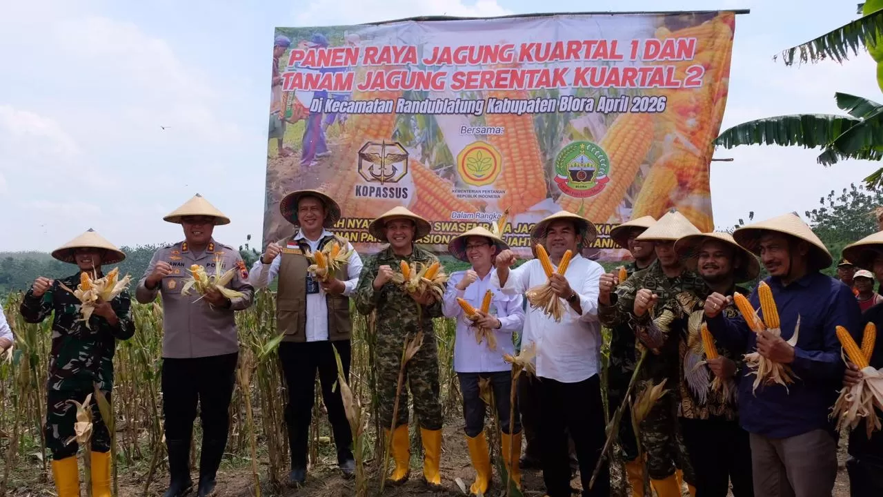 BULOG berpartisipasi dalam kegiatan Panen Raya Jagung Kuartal I serta Tanam Jagung Serentak Kuartal II di Kecamatan Randublatung, Kabupaten Blora, Jawa Tengah. (Dok. BULOG)