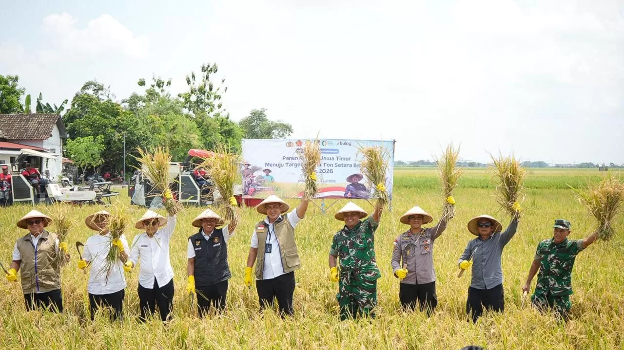 Dirut BULOG panen raya di Ngawi, perkuat kolaborasi lintas sektor untuk capai swasembada pangan 2026 dan jaga kesejahteraan petani. (Dok. BULOG)