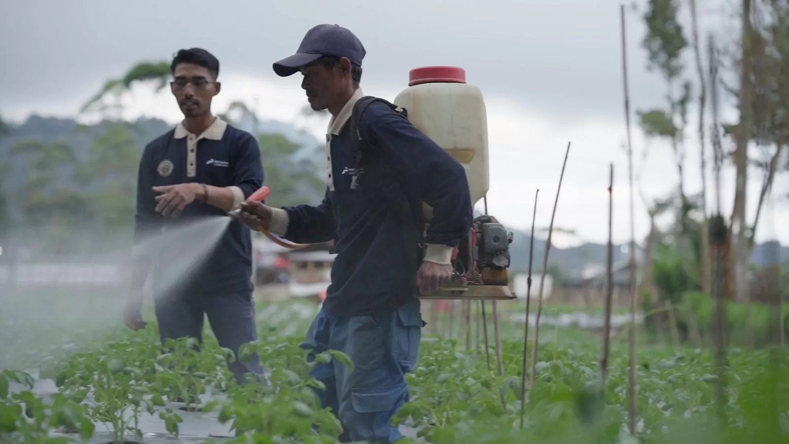 PGE Kamojang raih PROPER Emas ke-15 berturut-turut lewat inovasi panas bumi KANYAAH yang dorong ekonomi sirkular dan manfaat nyata bagi masyarakat sekitar. (Dok. PGE Kamojang)