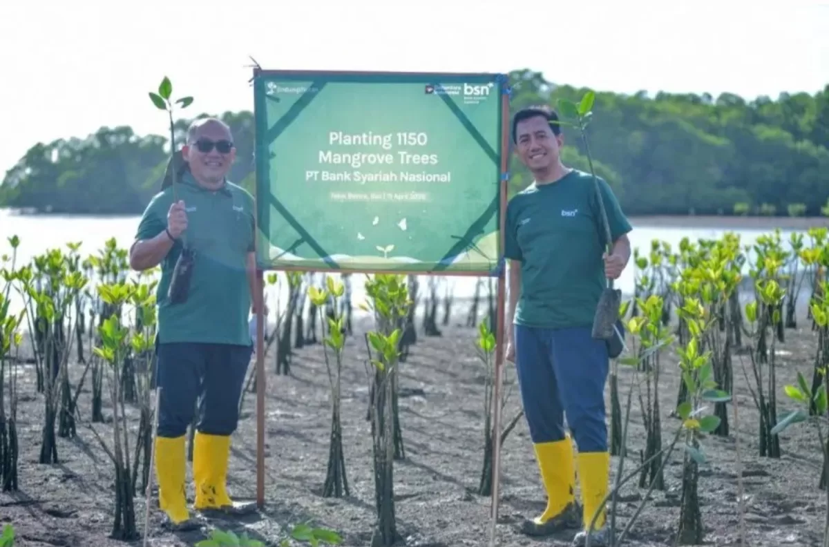 BSN tanam 1.150 mangrove di Teluk Benoa bersama LindungiHutan untuk dukung pelestarian lingkungan dan SDGs. (Dok. BSN)