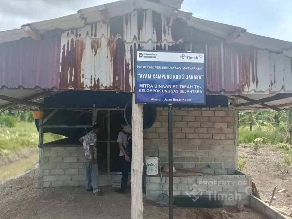 Program peternakan ayam kampung di Karimun bantu tingkatkan ekonomi warga sekaligus dorong kemandirian dan ketahanan pangan lokal. (Dok. PT Timah)