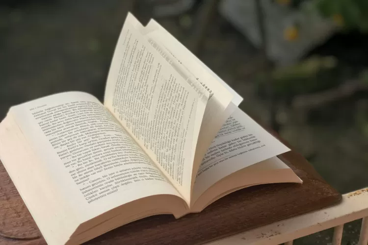 Ilustrasi. Kecerdasan seorang RA Kartini tidak lepas dari kesukaannya membaca dan menulis buku. (Pexels/mbrr_k)