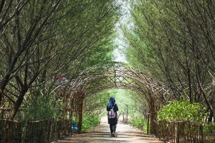 Taman Hutan Raya Pakal berada di Surabaya Barat. Jaraknya sekitar 20 kilometer atau 45 menit dari pusat kota. (tourism.surabaya.go.id)