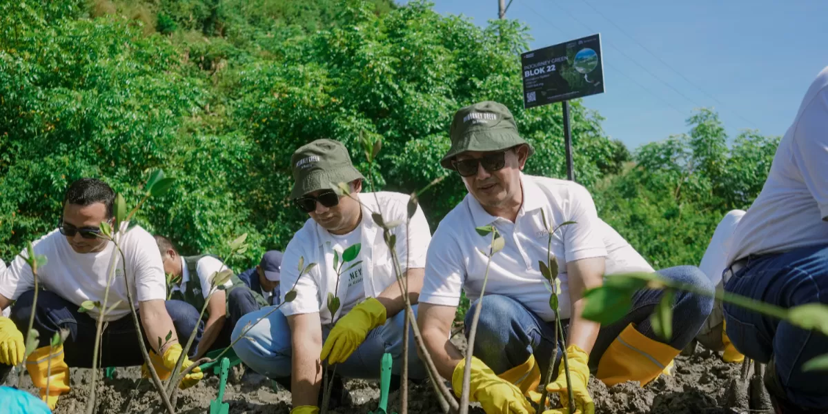 InJourney dan ITDC tanam 15.000 mangrove di Mandalika lewat program InJourney Green sebagai komitmen jaga lingkungan dan pariwisata berkelanjutan. (Dok. ITDC)