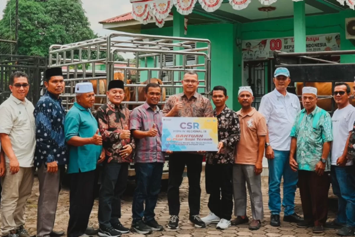 PTPN IV Regional III menyalurkan bantuan berupa 20 ekor sapi ternak produktif kepada masyarakat Desa Kasikan dan Desa Talang Danto di Kabupaten Kampar. (Dok. PTPN IV Regional III)