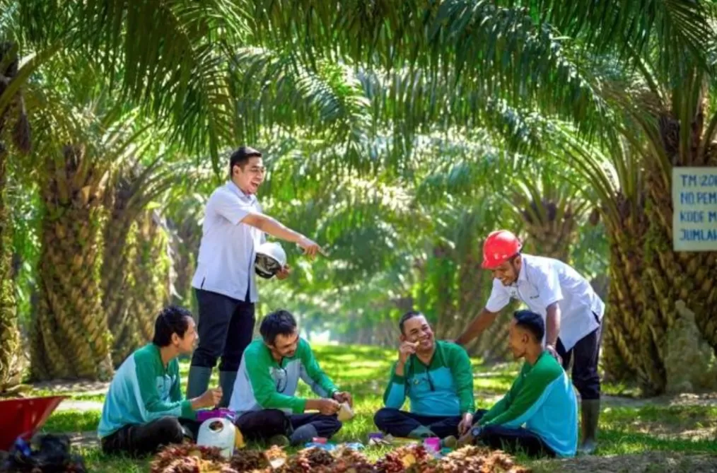 PalmCo serap lebih dari 70 ribu tenaga kerja dan kembangkan hilirisasi sawit serta energi hijau demi membuka peluang kerja baru berkelanjutan. (Dok. PalmCo)