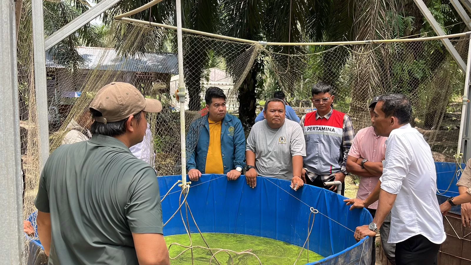 Pokdakan Bangko Jaya sukses ubah limbah sawit jadi pakan dan pupuk mandiri, tekan biaya produksi hingga 50 persen. (Dok. PHR)