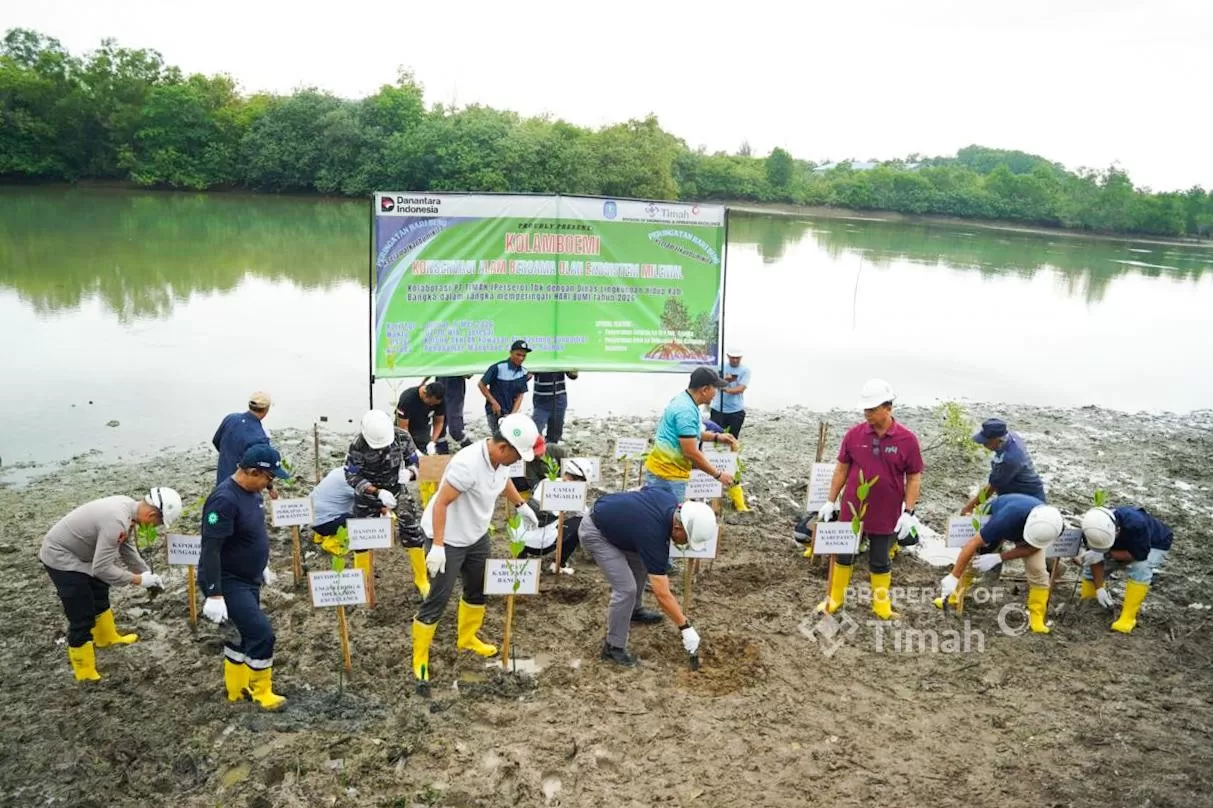 PT TIMAH bersama Pemkab Bangka menata Kolong AKHLAK lewat penghijauan dan pengembangan kawasan pascatambang. (timah.com)