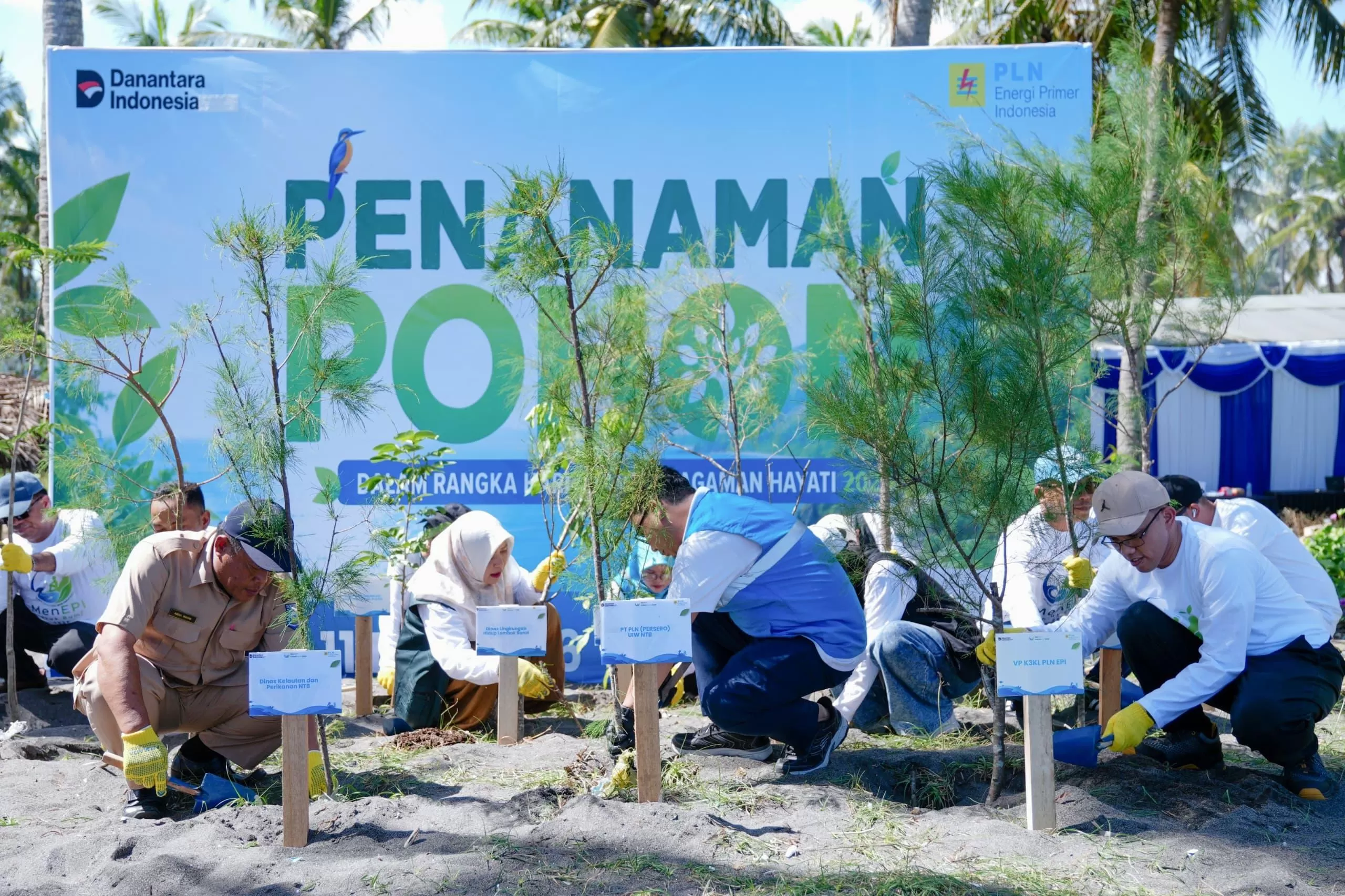 PLN EPI melalui kegiatan bertajuk MenEPI untuk Bumi 2026, menanam 2.500 pohon cemara udang di kawasan Pantai Induk Lombok, Jeranjang, Lombok Barat. (DOK. PLN EPI)