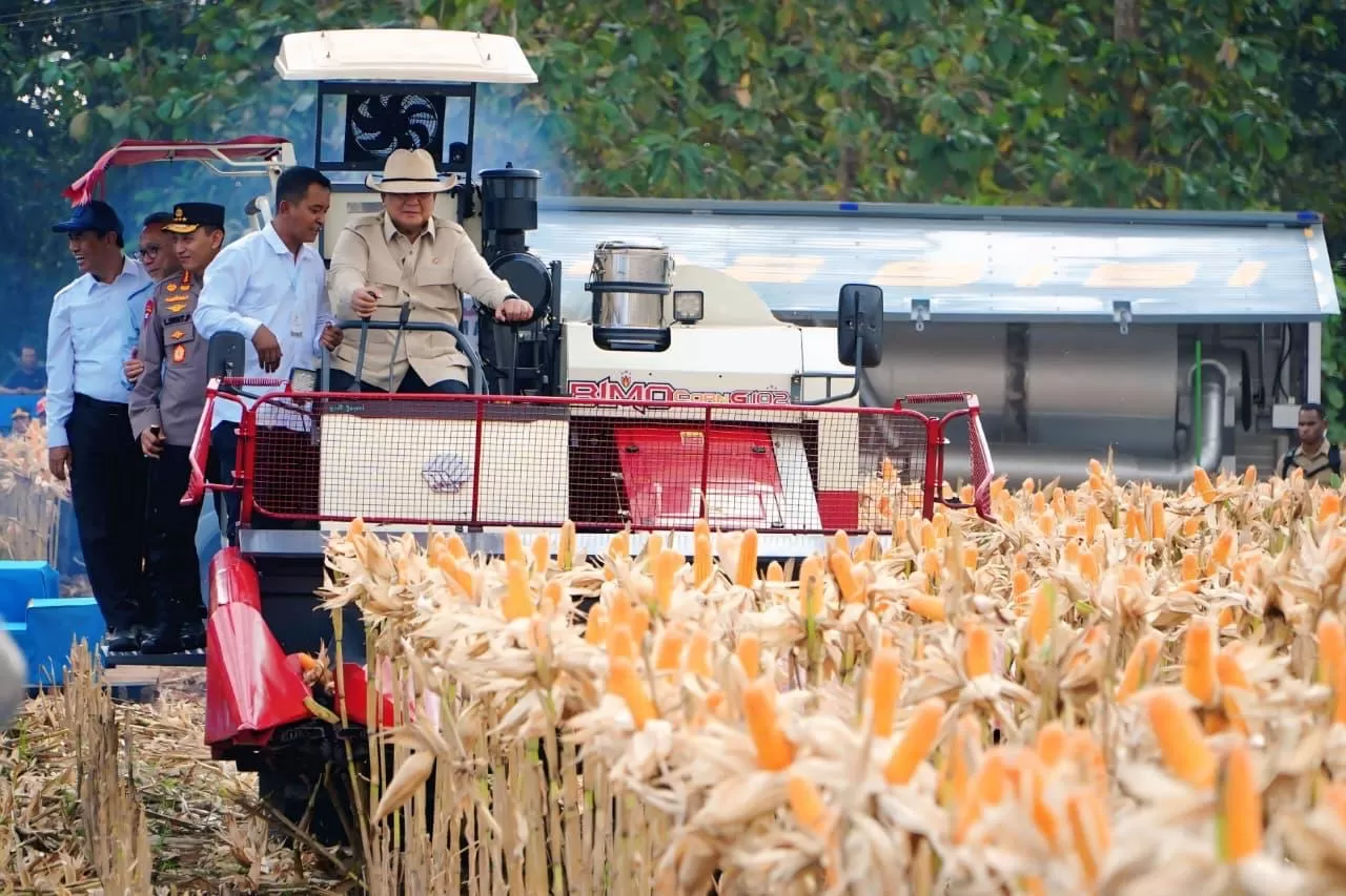 Panen raya jagung kuartal II menjadi momentum penguatan kolaborasi untuk menjaga stabilitas pangan nasional.