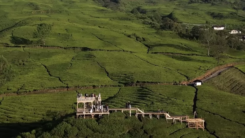 Dari kebun teh hingga kopi lokal, Pagar Alam punya banyak cerita menarik untuk dinikmati.