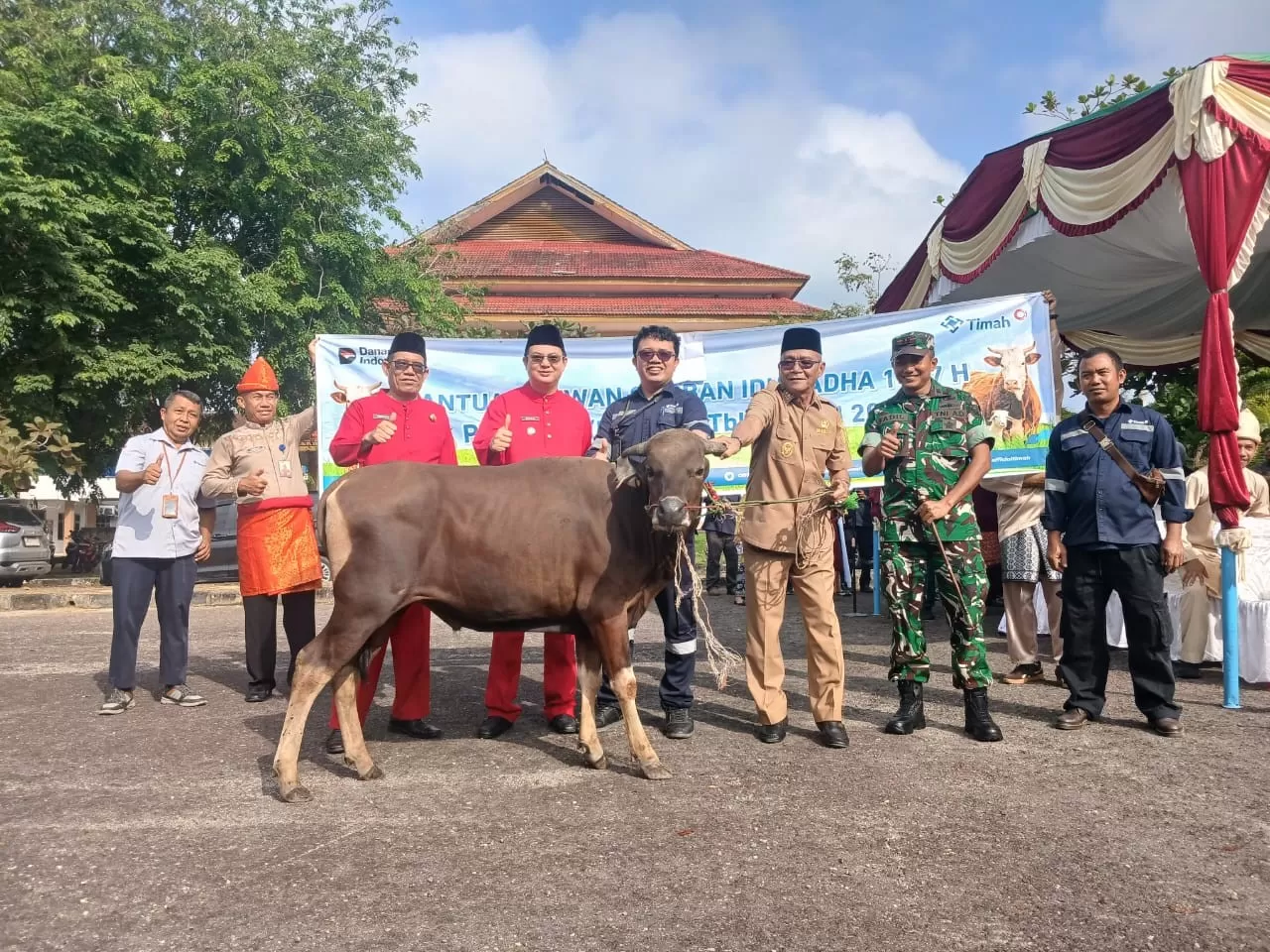 PT TIMAH salurkan 39 sapi kurban di Bangka Barat jelang Idul Adha 1447 H dan HUT ke-23 Kabupaten Bangka Barat. (Dok. PT Timah)