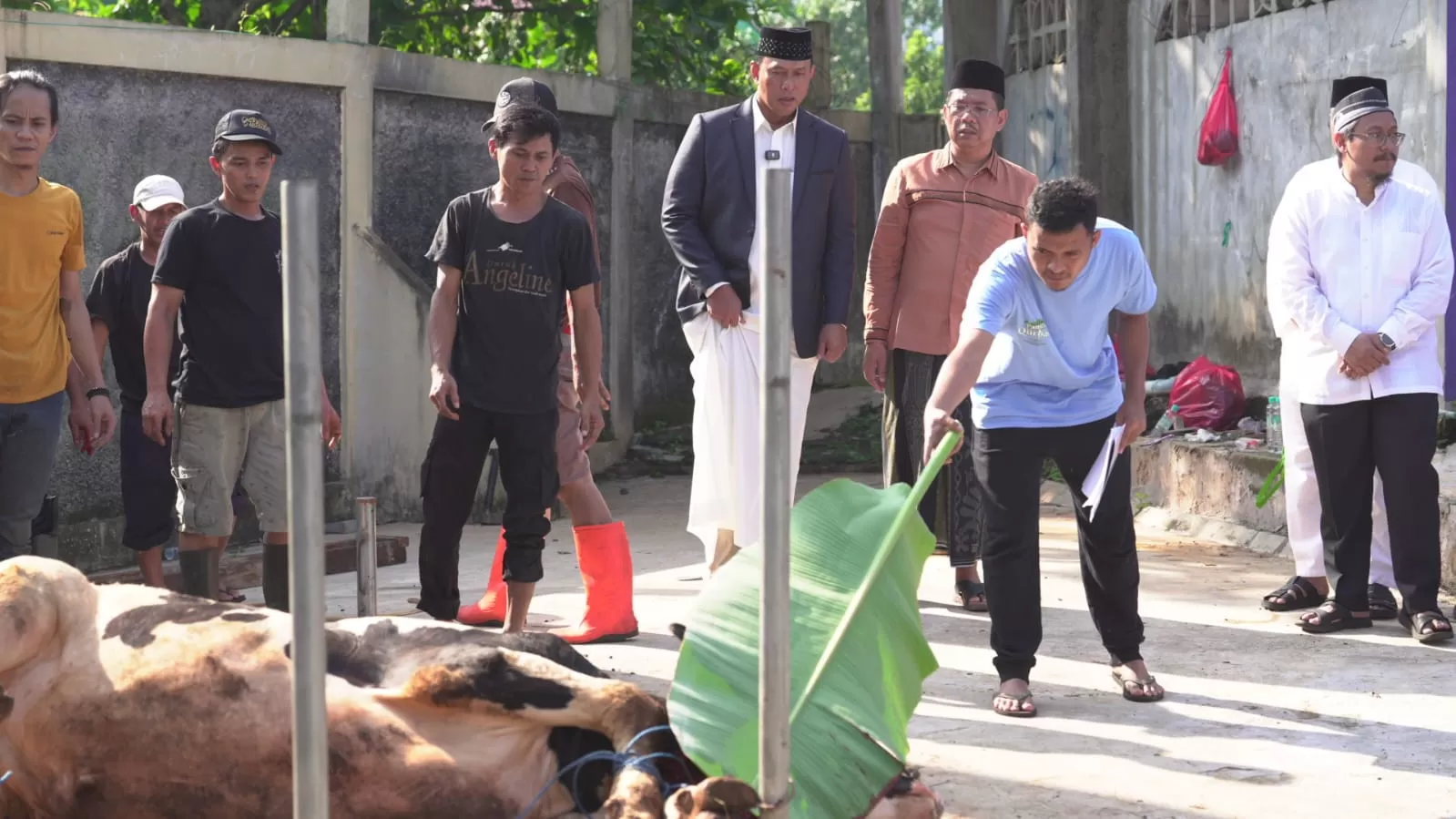 BULOG terus meneguhkan komitmen menghadirkan manfaat dan menjaga ketahanan pangan di momen Idul Adha 1447 H.