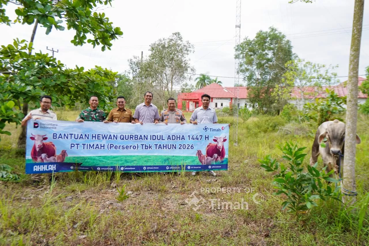PT TIMAH menyalurkan 31 sapi kurban di Bangka Selatan pada Iduladha 1447 H. Bantuan ini dinilai membantu masyarakat dan mendapat apresiasi pemerintah daerah. (Dok. PT Timah)