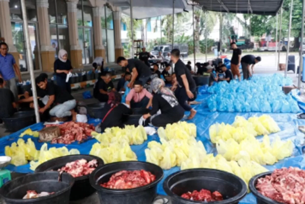 PTPN IV PalmCo salurkan 150 ton daging kurban untuk masyarakat, anak yatim, dan korban bencana di berbagai daerah. (Dok. PTPN IV PalmCo)