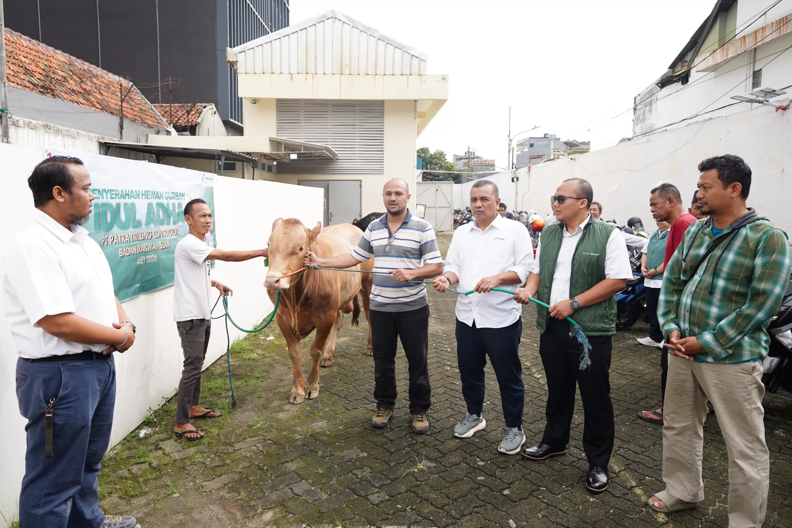 PDC menyalurkan 8 ekor sapi dan 29 ekor kambing kurban di berbagai wilayah operasional pada Iduladha 1447 Hijriah. (Dok. PDC)