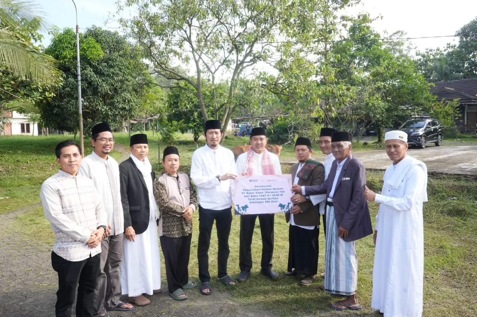 PT Bukit Asam (Persero) Tbk menyalurkan sebanyak 300 hewan kurban pada Perayaan Idul Adha tahun 1447 H/2026 ke seluruh wilayah operasional. (DOK. PTBA)