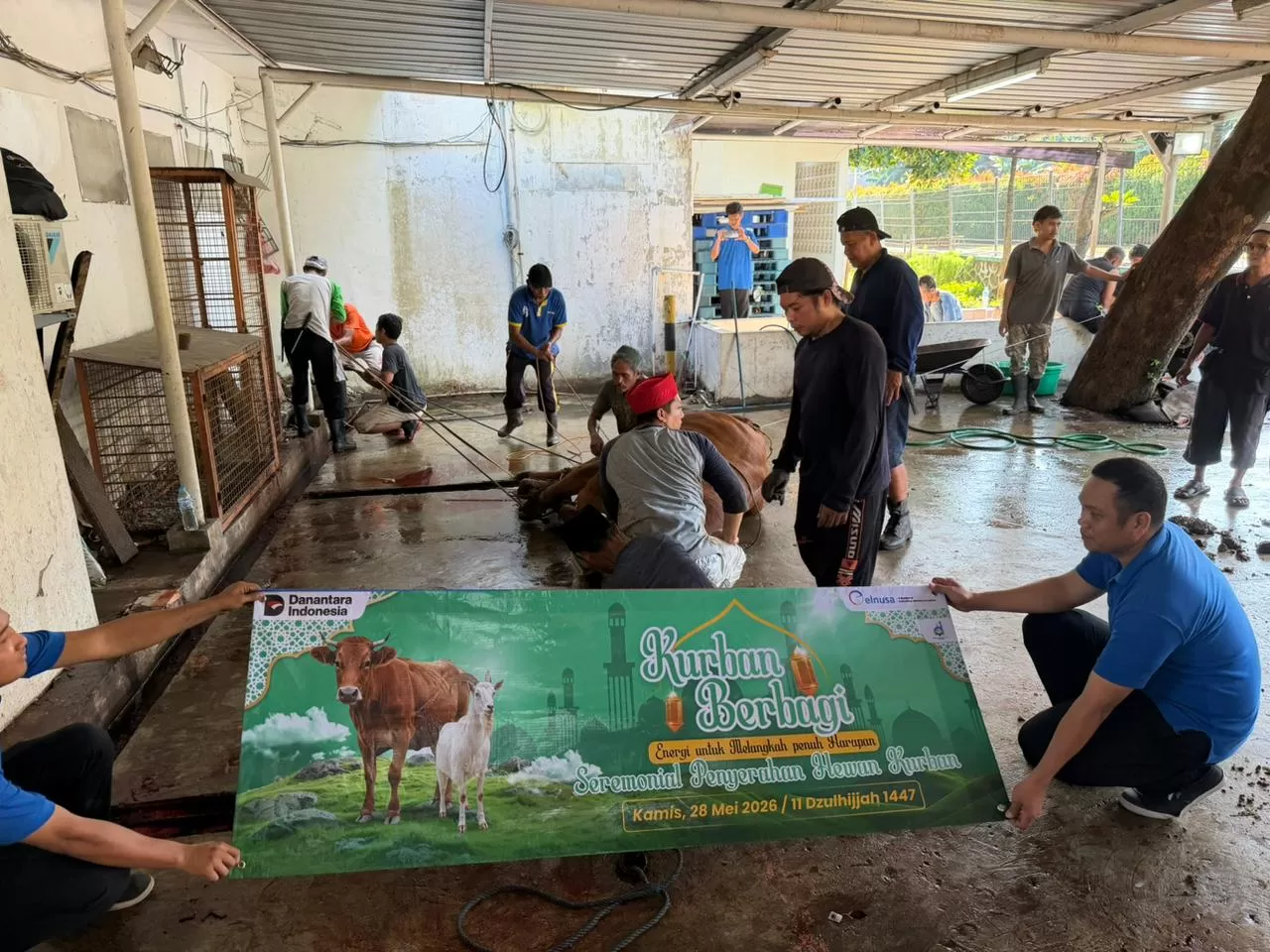 Elnusa Tebar Semangat Berbagi di Iduladha 1447 H Lewat Penyaluran 321 Hewan Kurban (Dok. Elnusa)