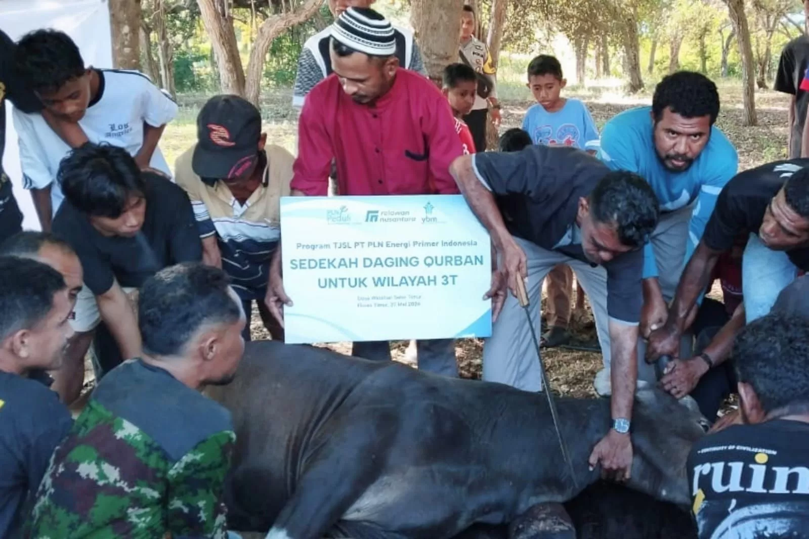Yayasan Baitul Maal (YBM) PT PLN Energi Primer Indonesia (PLN EPI) menyalurkan 1.000 paket daging kurban kepada masyarakat yang tinggal di wilayah tertinggal, terdepan, dan terluar (3T). (Dok. PLN EPI)