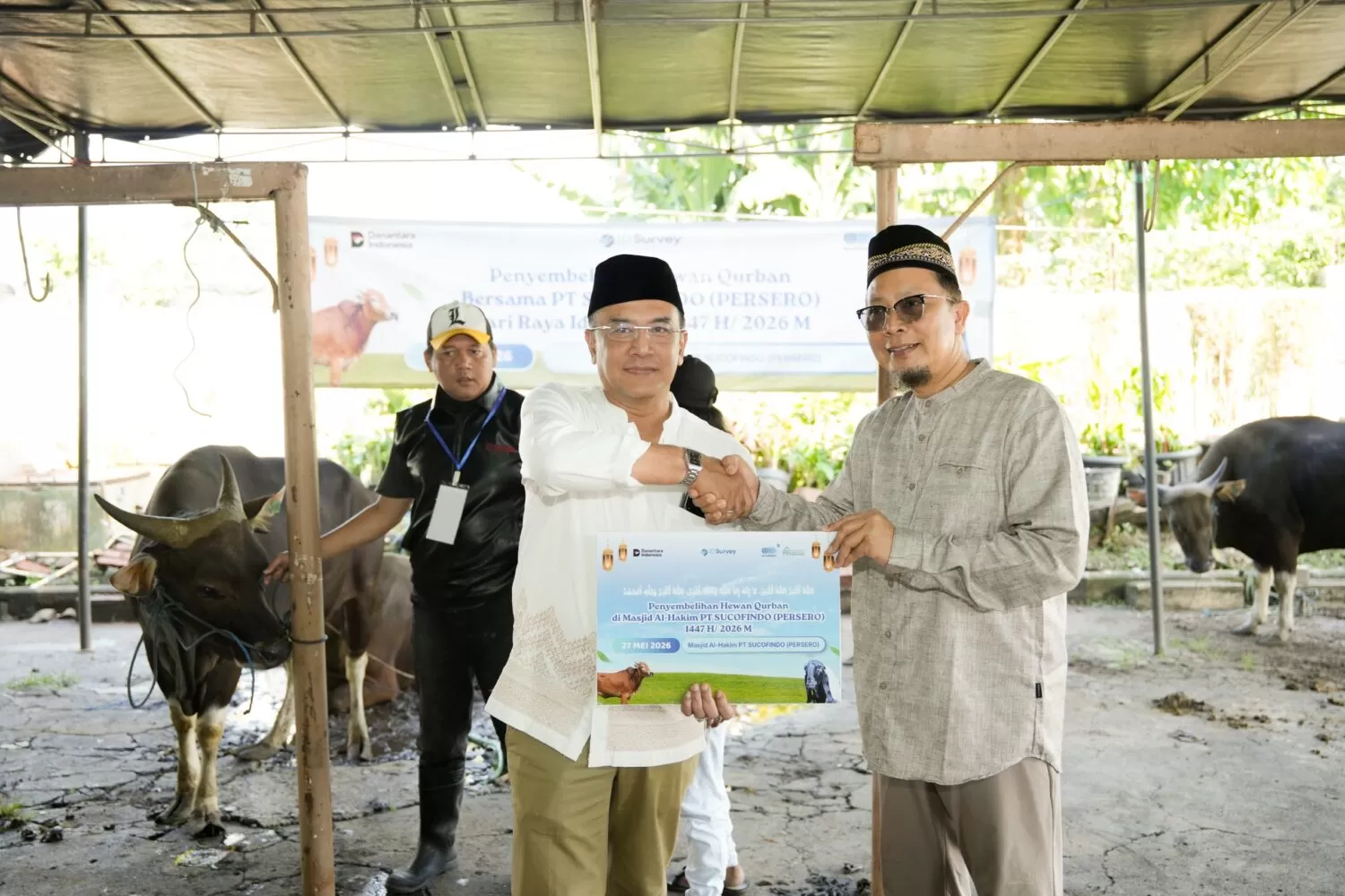 SUCOFINDO menyalurkan 37 sapi dan 35 kambing pada Idul Adha 1447 H sebagai wujud kepedulian sosial dan semangat berbagi. (sucofindo.co.id)