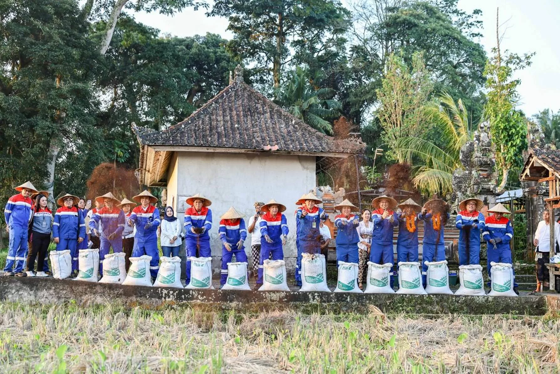 Komisaris Independen PT Pertamina (Persero), Condro Kirono bersama Jajaran Dewan Komisaris PT Pertamina (Persero) menebar benih padi di sawah Desa Keliki Tegallalang, Gianyar, Bali, Kamis, (28/5/2026) (Dok. Pertamina)