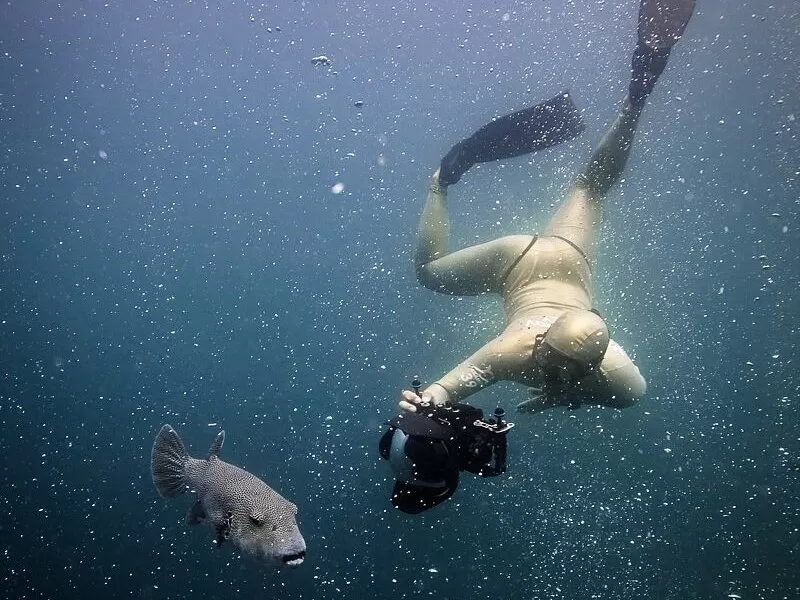 Peralatan dasar freediving hanya masker, snorkel, fin, dan kemampuan menahan napas hingga kedalaman tertentu.   (Tripadvisor/Freedive Weh)