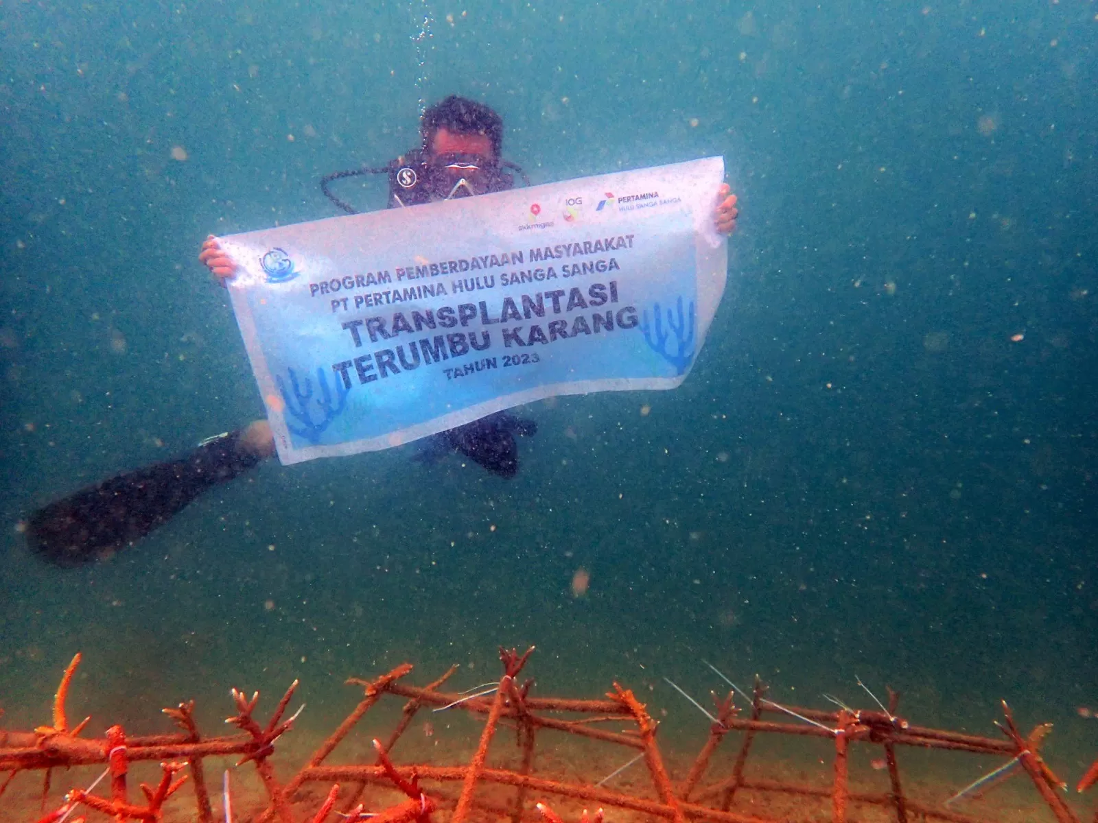 PHI memperkuat pelestarian terumbu karang dan ekosistem pesisir melalui program Jaga Pesisir Kita dan Rig to Reef di Kalimantan Timur. (Dok. PHI)
