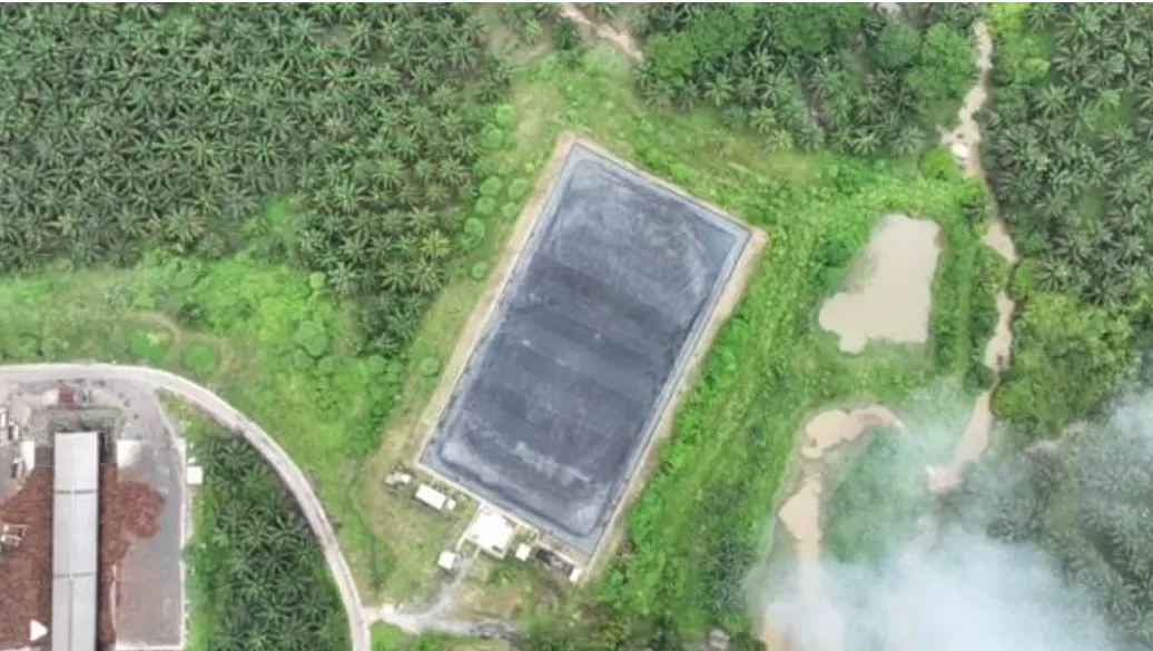 PKS Sei Tapung optimalkan limbah sawit jadi pupuk organik dan energi terbarukan melalui pemanfaatan tankos hingga biogas ramah lingkungan. (Dok. Perkebunan Nusantara)