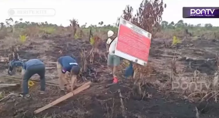 Tim Pengawas dan Polhut Balai Gakkum KLHK Wilayah Kalimantan saat menyegel areal konsesi perusahaan di Kalbar yang terjadi kebakaran lahan  (Tangkapan Layar Youtube News PONTV)