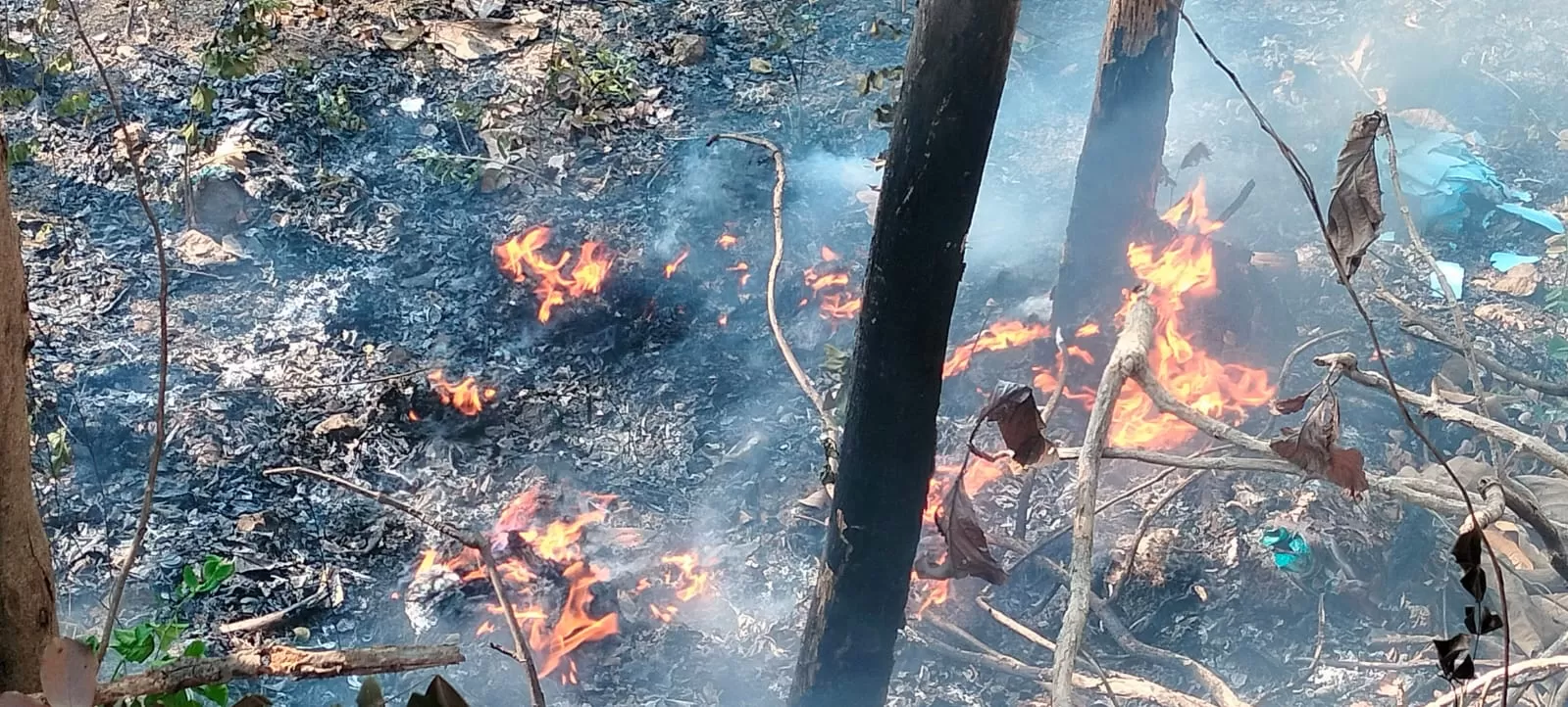 Upaya pemadaman kebakaran hutan. (Foto: KR/dok)