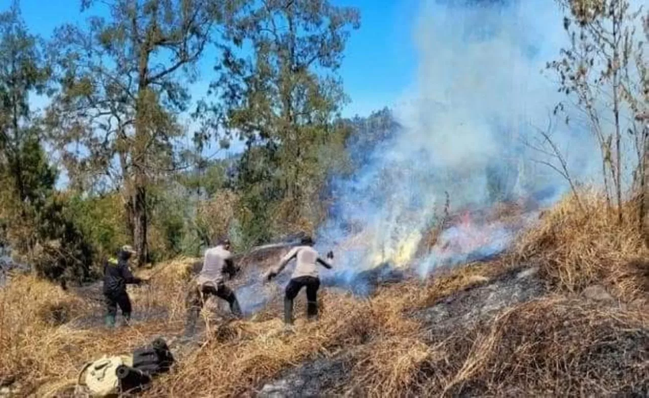 Pemadaman kebakaran lahan akibat hembusan angin di cuaca kering. 