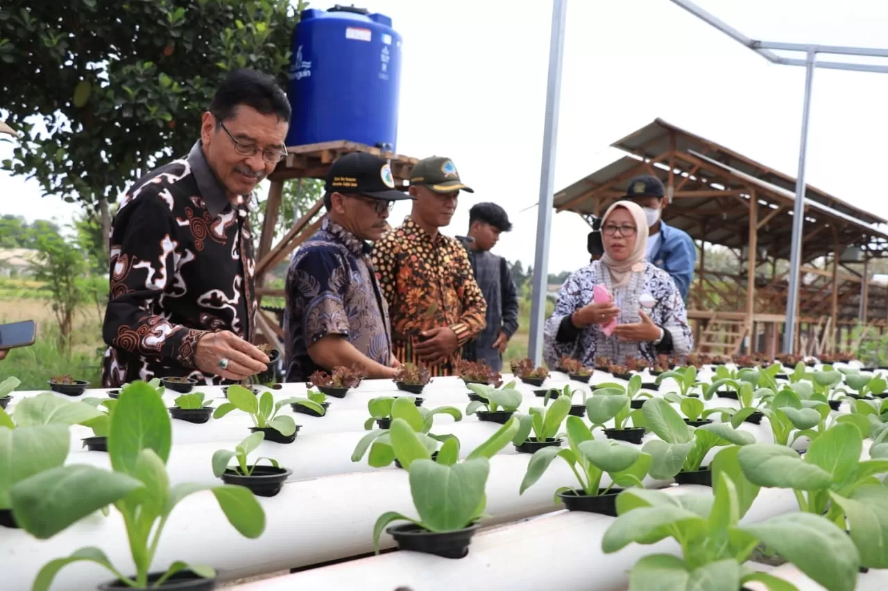 Pengembangan demplot dengan memanfaatkan sampah sebagai pendukung ketahanan pangan di Kalurahan Sendangtirto, Berbah, Sleman.