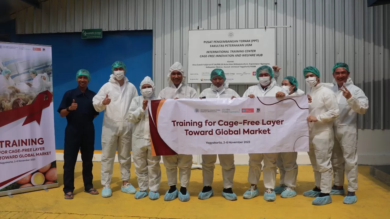  UGM dan Global Food Partner Beri Pelatihan Bagi Pemasok Telur Ayam  (istimewa)