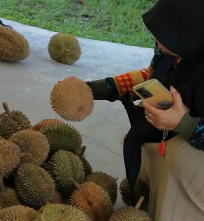 Pengunjung sedang memilih-milih durian kegemarannya di Pesta Durian Nara Kupu Jogja  (Instagram @nara_kupu_jogja)