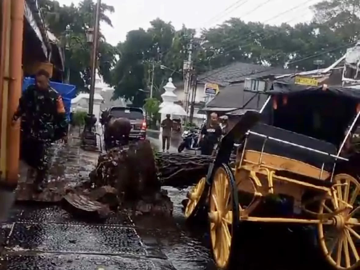 Andong tertimpa pohon tumbang (Foto : Tangkapan layar media sosial)