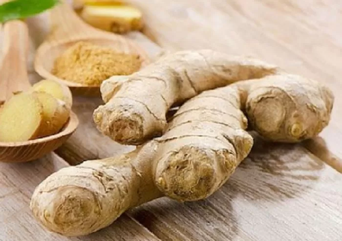  Jahe. (Foto : Chiro Dunia Baru/pinterest)