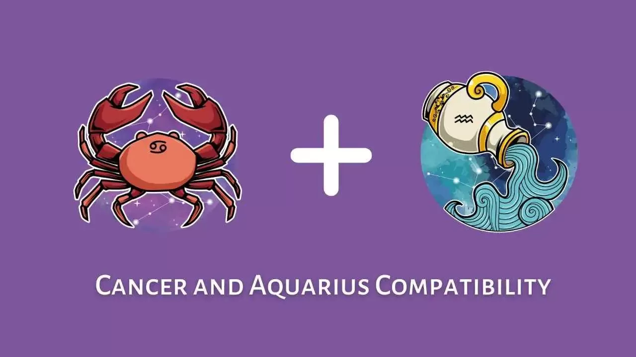 Cocokkah Zodiak Aquarius dengan Cancer dalam Hal Percintaan Cek