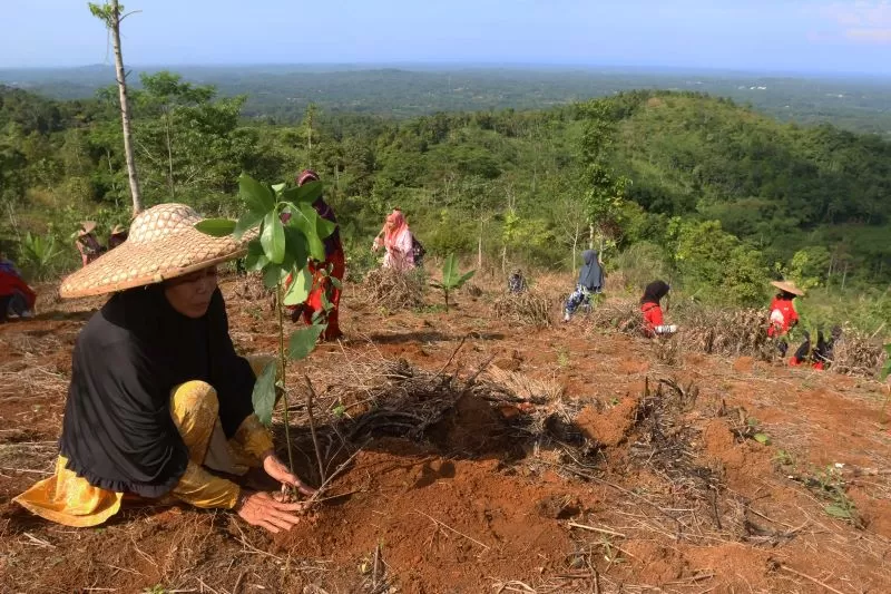 Sepanjang 2023, Telkom telah melaksanakan pemulihan lahan kritis di 4 provinsi, yakni di Jabodetabek, Banten, Jabar, Jateng dan Jatim (Dok. Telkom)