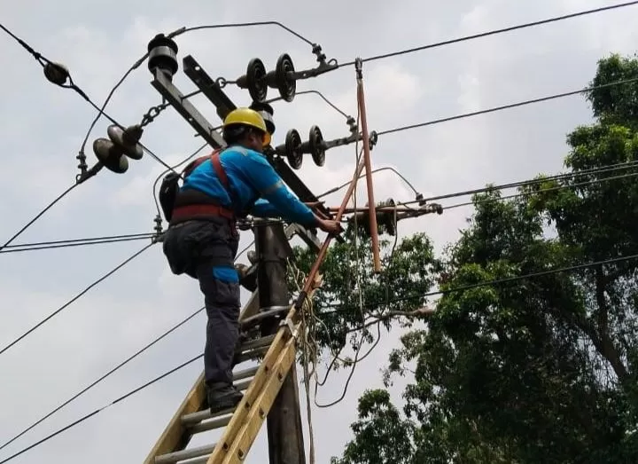  Pemeliharaan jaringan di tiang listrik oleh PLN (Ig: @pln)