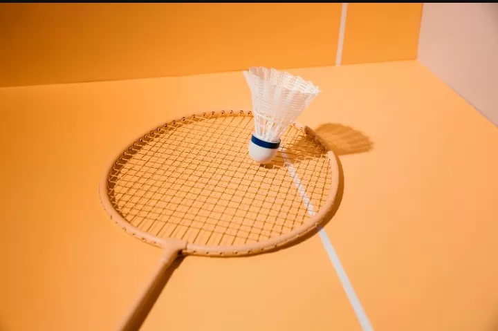 Ilustrasi badminton  (Istimewa )