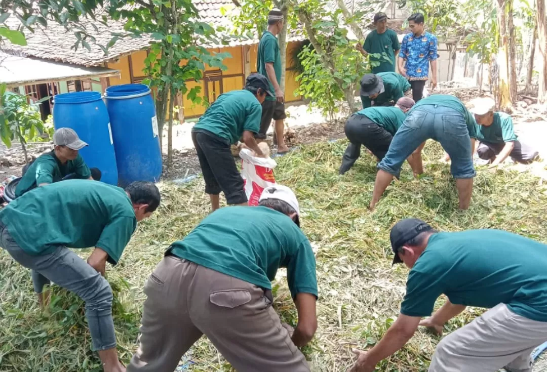  Kegiatan bimtek pengolahan pakan ternak alternatif di Gunungkidul. ( Endar Widodo)