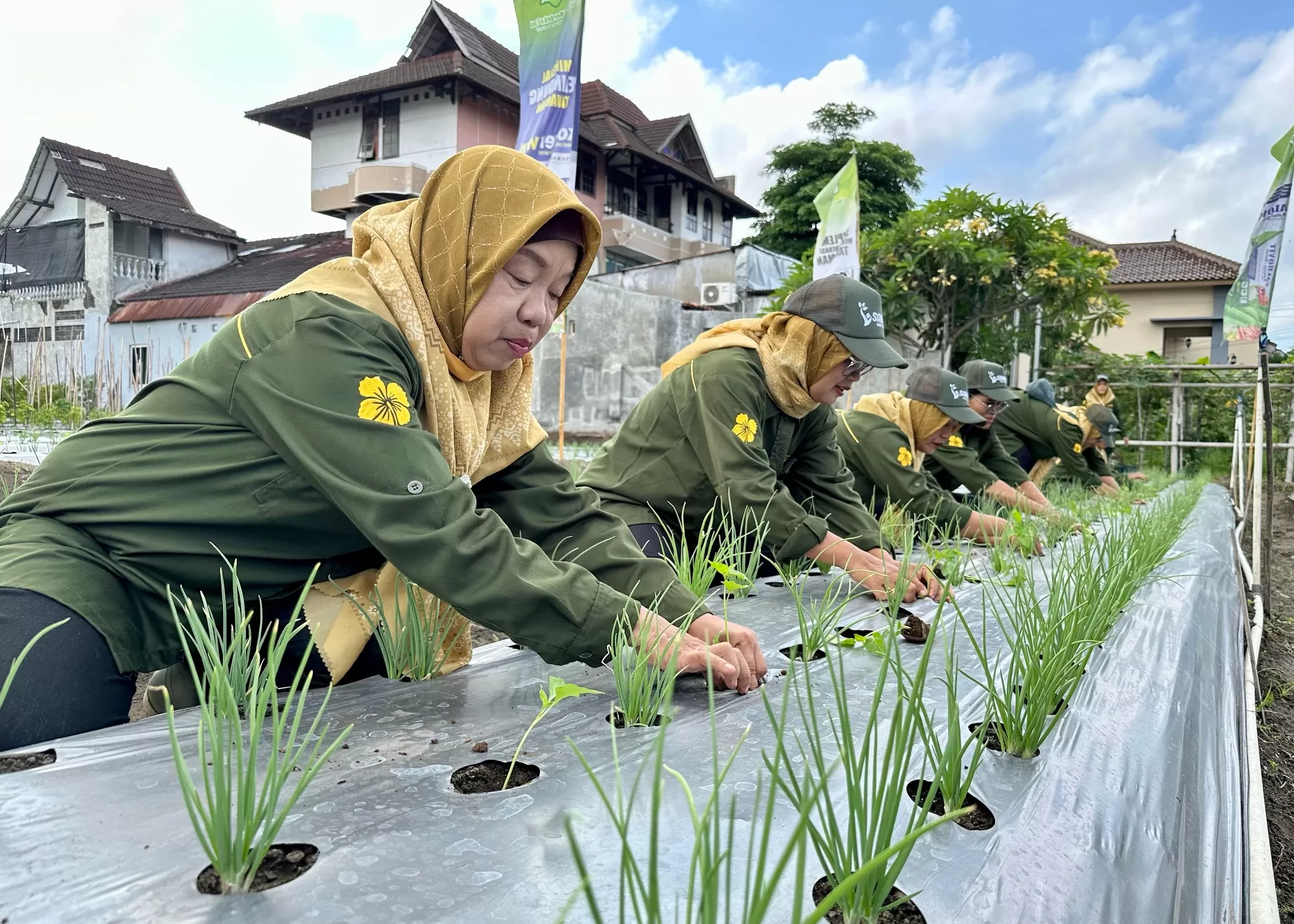 Para ibu di Gejayan menanam tanaman produktif di lahan pekarangan (Harminanto) 