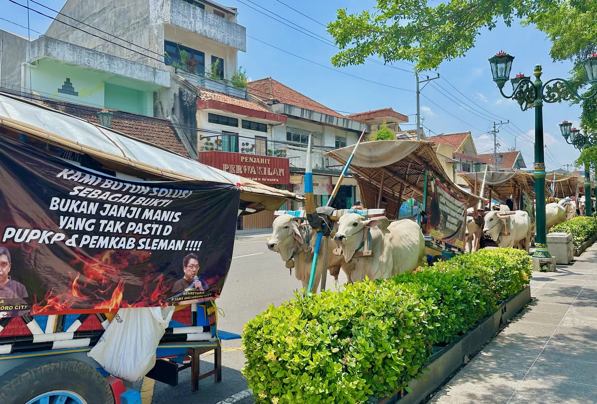 Gerobak sapi terparkir di halaman depan Kantot Kepatihan (Harminanto)