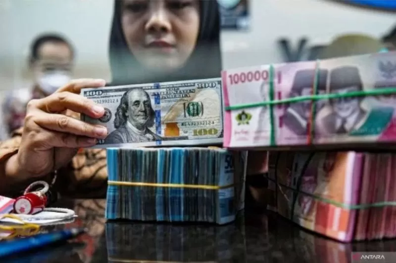 Petugas menyusun uang pecahan dolar AS dan rupiah di gerai penukaran mata uang asing VIP (Valuta Inti Prima) Money Changer, Jakarta, Jumat (1/3/2024).  (ANTARA FOTO/Muhammad Adimaja)