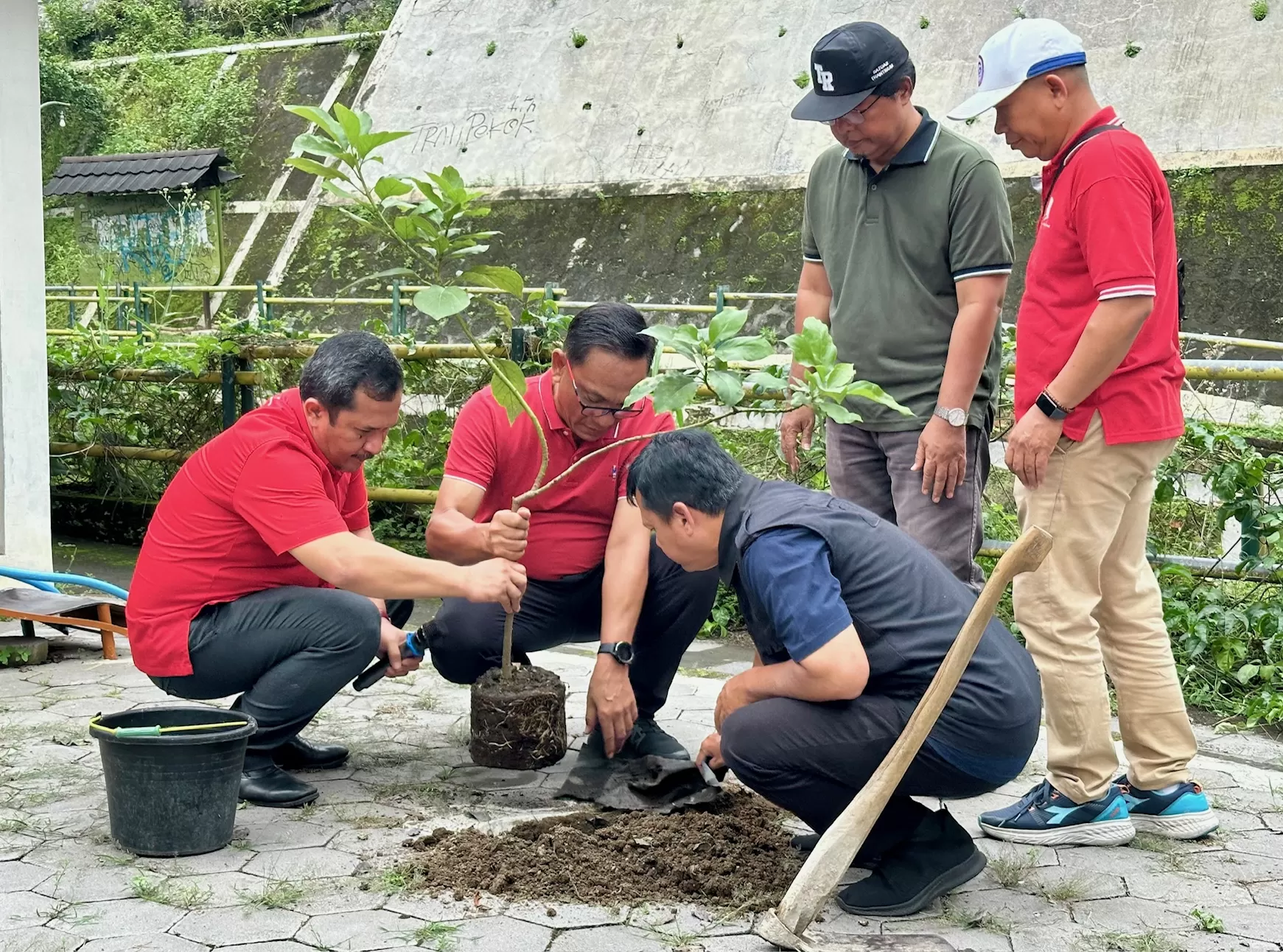  Wawali terpilih Kota Yogya menanam pohon alpukat di Blunyahrejo dalam Jogja Nandur (Harminanto)